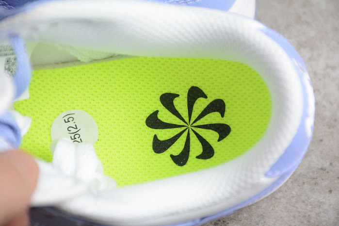 Nike Dunk Low Next Nature Lilac (W) DN1431-103